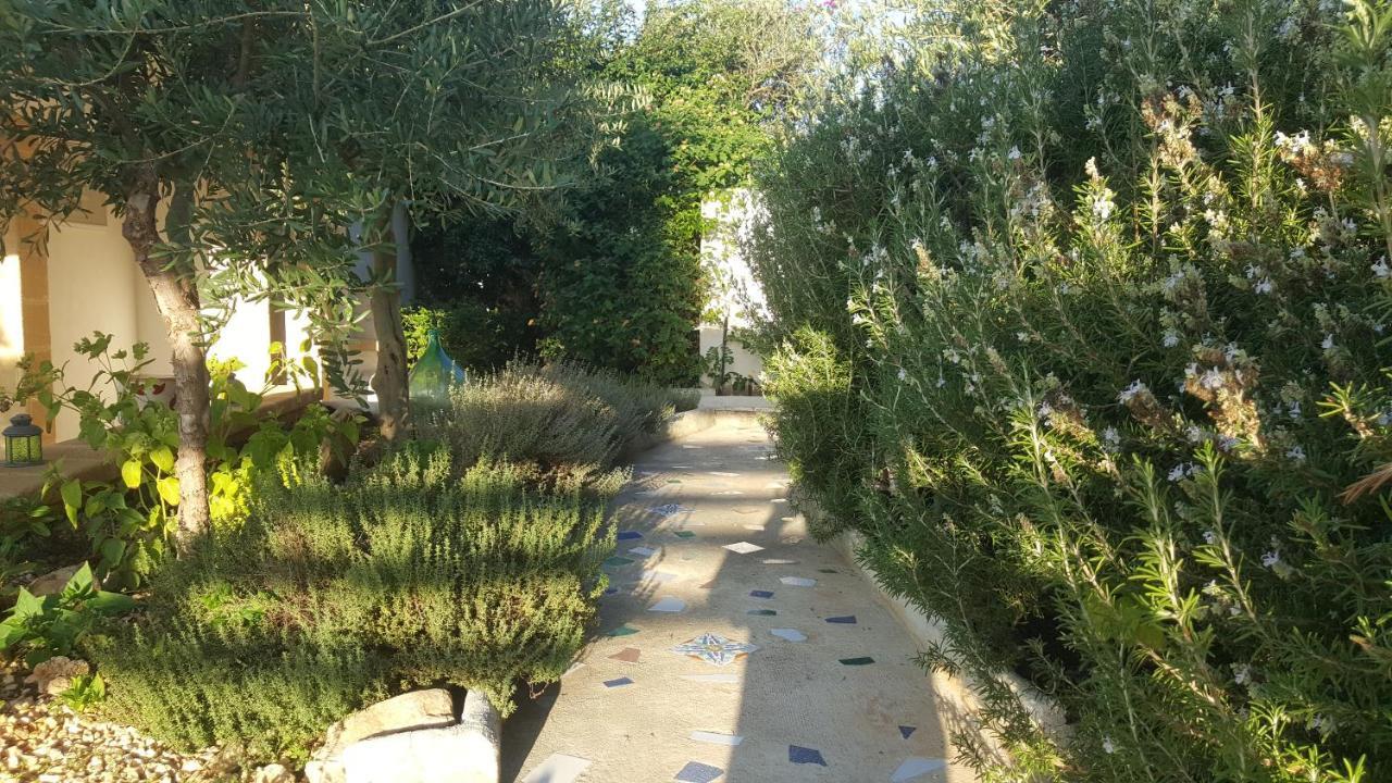 Villa Ceni - Appartamenti Con Camere, Cucina, Wc E Terrazza Sul Mare In Villa Con Piscina, Giardino E Parcheggio Marinella di Selinunte Buitenkant foto